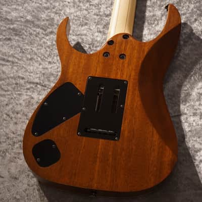 Ibanez [USED] RG20064-TBF [2006] [GTK017] image 5