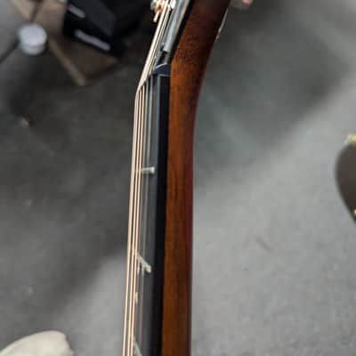 Taylor Builders Ed. 517e 2020 - Wild Honey Burst image 4
