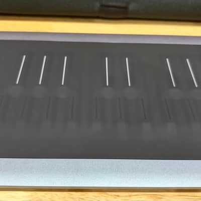 ROLI Seaboard RISE 2 (Platinum Blue) 49-Key + Equator2 + Soft Case image 13