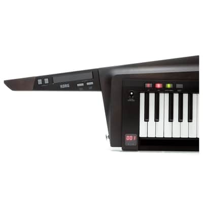 Korg RK-100S2 Black image 5