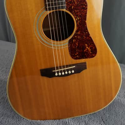 Temmas Nashville N-40D - Natural Acoustic Guitar image 1