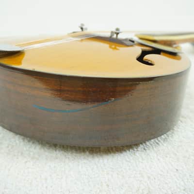 Thumb Mandolin Japan Mandolin - Natural - Neck Heel Repair image 4