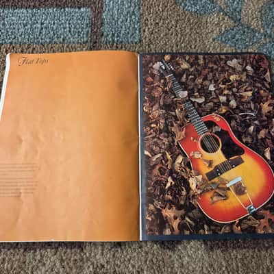 Vintage 1966 Gibson Full-Line Full-Color Catalog! Rare, Original Case Candy, Paperwork! image 15