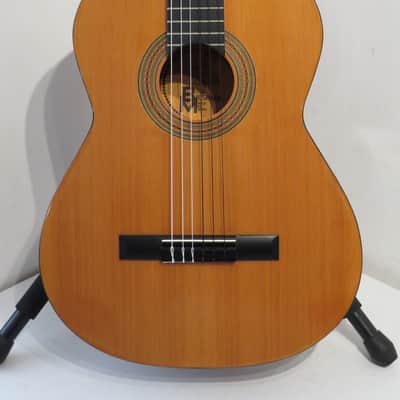 B&M Espana Classical / Flamenco Acoustic Guitar image 2