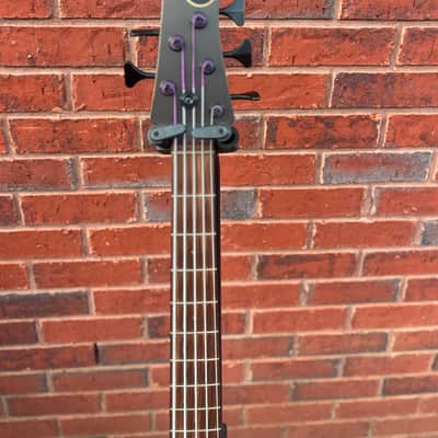 Swan Alpha Classic 5 String Bass image 3