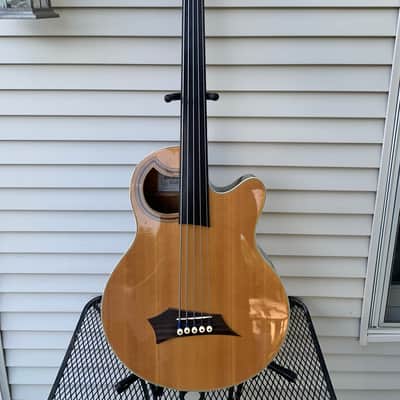 Warwick Rockbass Alien Standard Fretless Acoustic Bass 5 String image 1