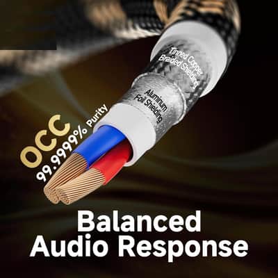A Pair Balanced XLR Cable Professional XLR Mic Stereo Audio Cable with O-C-C Core, Dual Shielded for Live Sound/Studio (3ft/1m, 1 Pair) image 3