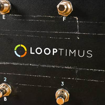 Loop Community Looptimus USB MIDI Foot Controller Pedal CG01ZDA image 6