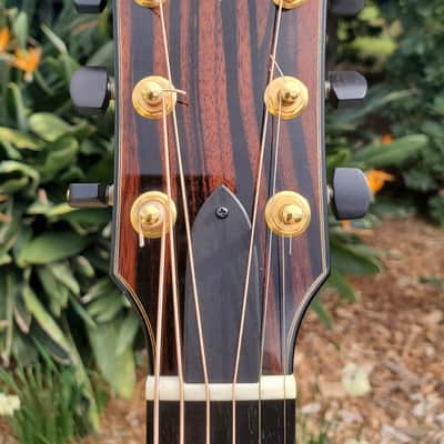Goodall Concert Jumbo Cutaway - Master Italian Spruce over Macassar Ebony *Nice Upgraded* image 7