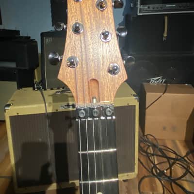 Warmoth Z  Body and Mahogany/Ebony Neck 2020 Satin Black Gotoh GE1996T Tremolo and Dimarzio Pickups image 6