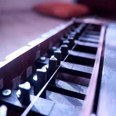 Hurdy-Gurdy  - 19 keys - 3 string - Ukrainian Lira - Hurdy Gurdy image 3