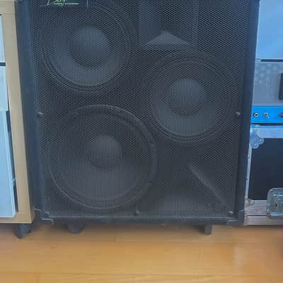 Bergantino IP322 (1000 watt powered bass cab!!) image 1