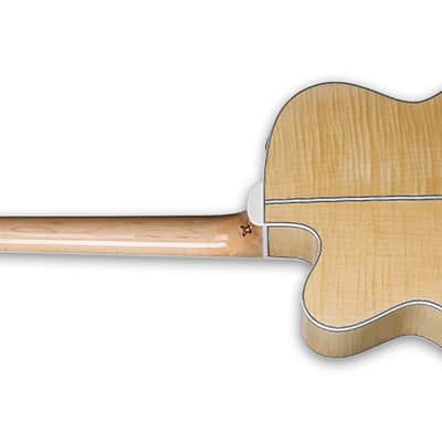 Takamine GB72CE NAT bass image 3