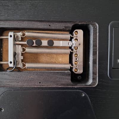 Charvel Pro-Mod So-Cal Style 2 24 HH 2PT CM Black Ash image 8