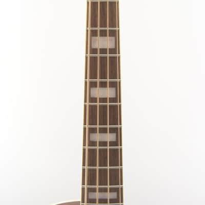 Fender Kingma Bass, Walnut Fingerboard, Black Pickguard 2023 - Shaded Edge Burst image 3