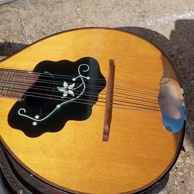Amada Bowl Back Vintage Mandolin |  1950s image 2