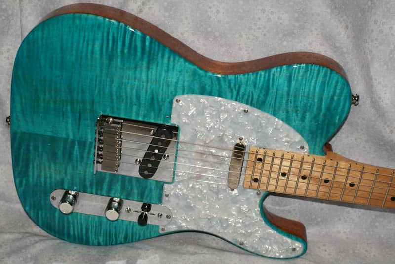 VZ Custom Guitars 24-Fret T-Style w/HSC image 1