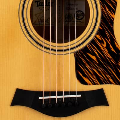 Taylor Custom Shop Select 318e #24100 (NAMM) image 10