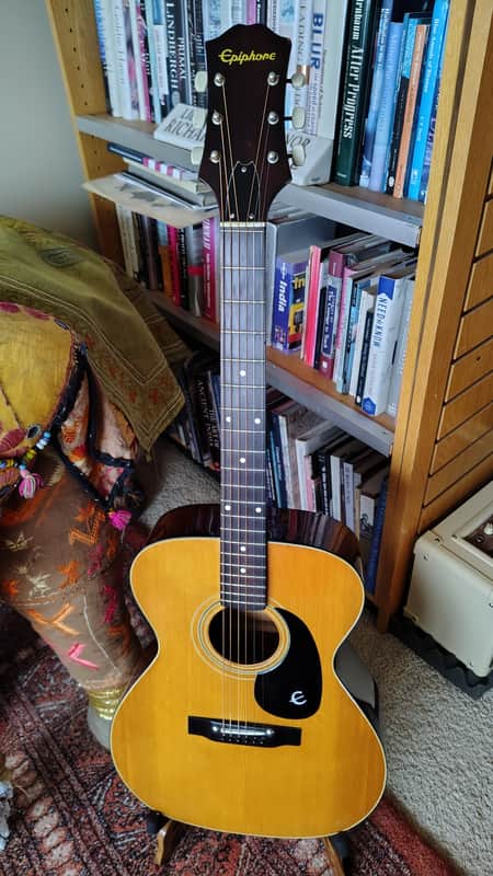 Epiphone FT-120 1976 - 1979 Lincolnwood label
