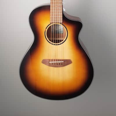 Breedlove Discovery S Concert ED 12 St CE - African Mahogany - NEW ! image 2