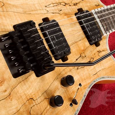 B.C. Rich Shredzilla Prophecy Archtop with Floyd Rose Spalted Maple image 8