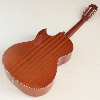 Handmade Custom 10 String Acoustic Electric Guitar, Solid Spruce Top Body, Mahogany Neck - Wood Color image 4