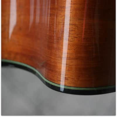 Taylor TAYLOR "Custom GS 12 Build to order LIMITED EDITION" (SECOND HAND) image 19