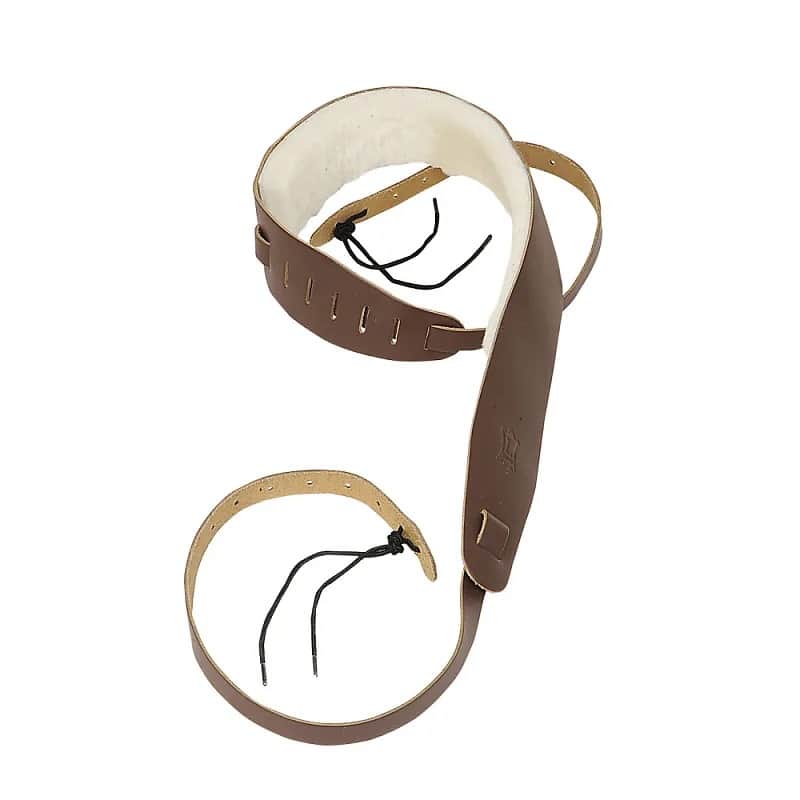 Levy's PM14 Genuine Leather 2.5" Banjo Strap image 1