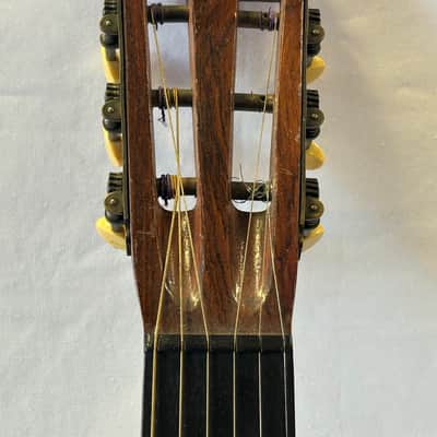 Washburn 1897 Style New Model -1890's image 16