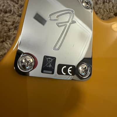 Fender Player Telecaster®, Maple Fingerboard, Butterscotch Blonde 75th Anniversary image 7
