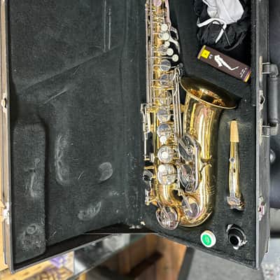 Vito Leblanc Alto Saxophone / 100094 image 2