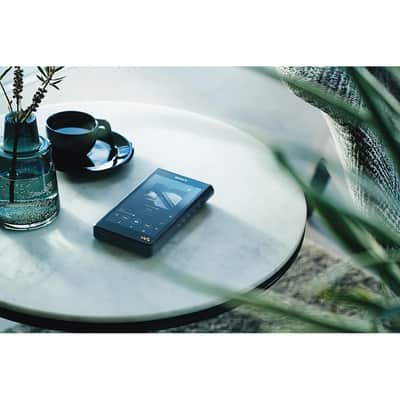 Sony NWWM1AM2 Walkman High Resolution Digital Music Player - Black image 12