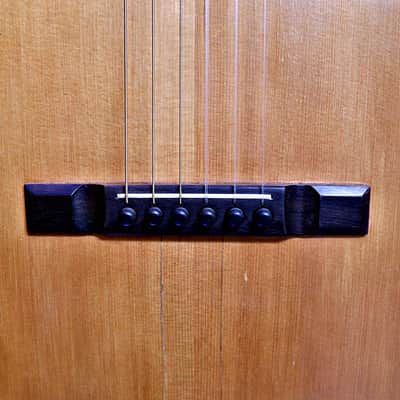 1915 Washburn Parlor Guitar image 7