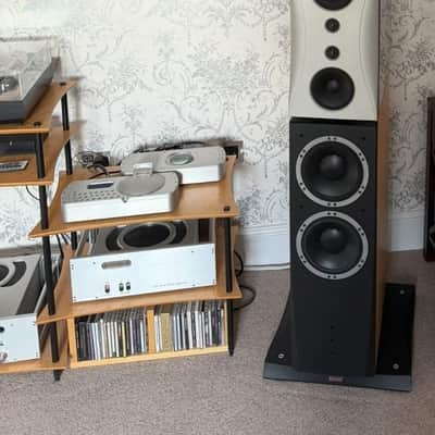 Dynaudio Evidence Master.  Awesome SOTA Flagship model image 3
