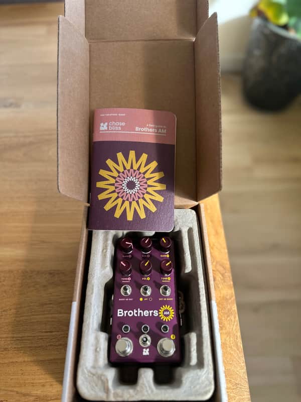 Chase Bliss Audio Brothers AM