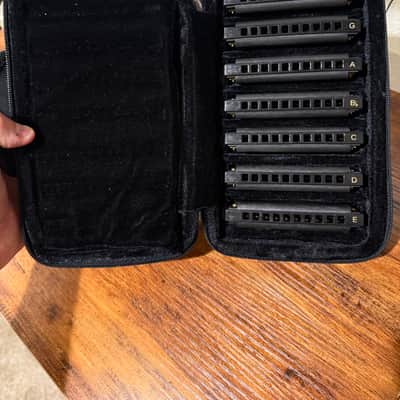 Hohner HH-PBH7 Case of Piedmont Blues - 7 Harmonicas with Case 2010s - Standard image 1