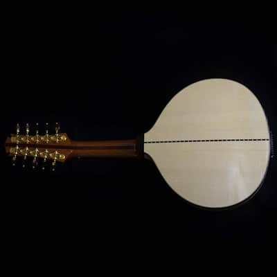 Pedro Santos 10-String Mandolin with VS Tuners | Brazil (Dudu Maia Model) image 2