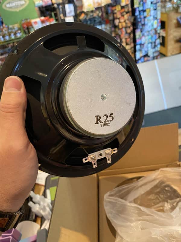 Mystery "R25" 8" speaker image 1