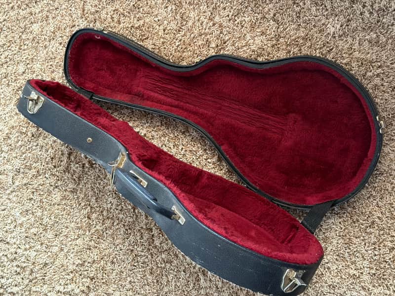 Gibson? Model F style Hard Shell Mando Case 70’s-80’s - Black/Purple image 1