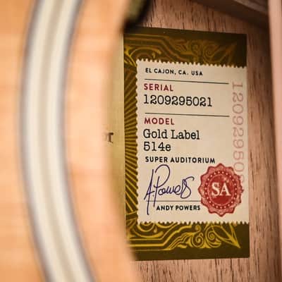 Taylor Gold Label 514e w/ Sitka Spruce Top & Tropical Mahogany Back and Sides Acoustic-Electric Guitar 2025 (1209295021) image 13