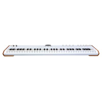 Arturia AstroLab 61 Avant-garde Stage Keyboard image 6