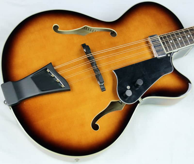 Gold Tone MandoCello image 2