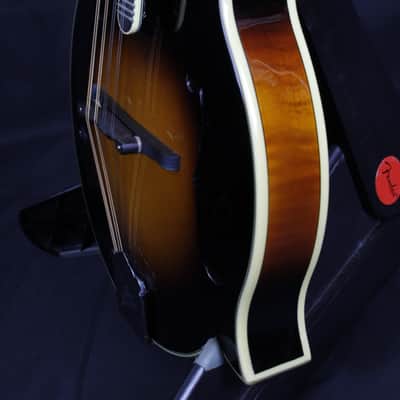 Loar LM-600 Carved Top Mandolin NEW OLD STOCK Mint Condition W/Gigbag image 4