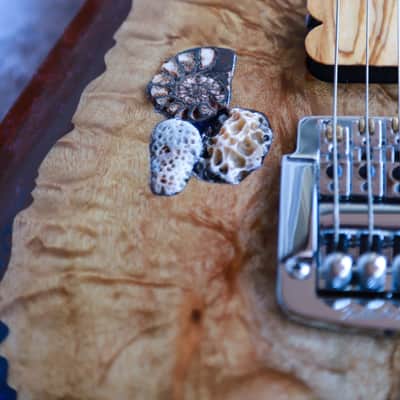 GB Liuteria Boutique Ergal 6 string Fossil edition image 17