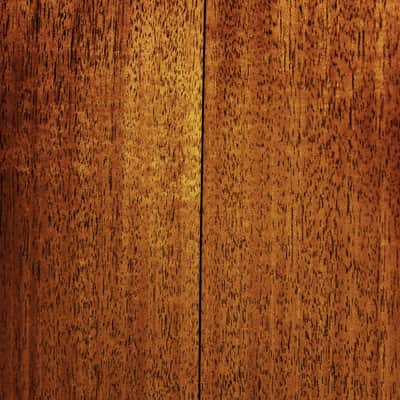 Santa Cruz Vintage Southerner Custom All Mahogany 1929 Style Acoustic Guitar image 10
