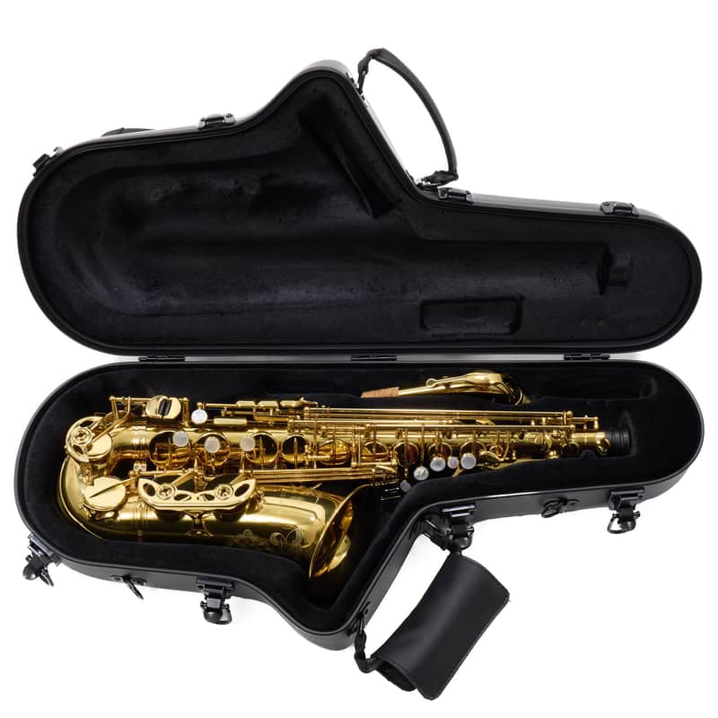 Eastman Model EAS650 'Rue Saint-Georges' Alto Saxophone SN A2440458 RENEWED image 1