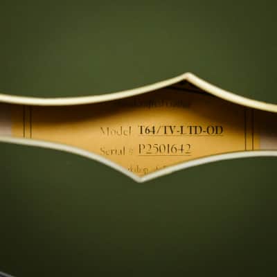 Eastman T64/ Truetone Vintage Limited Edition- Olive Drab 2026 (P2501642) image 15