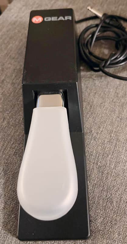 M-AUDIO SP-2 Universal Sustain Pedal with Piano Style Action For MIDI Keyboards, Digital Pianos and More image 1