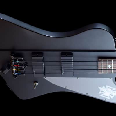 Epiphone Nikki Sixx Blackbird image 4