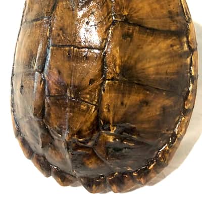 Turtle Shell acoustic/electric dulcimer guitar image 4